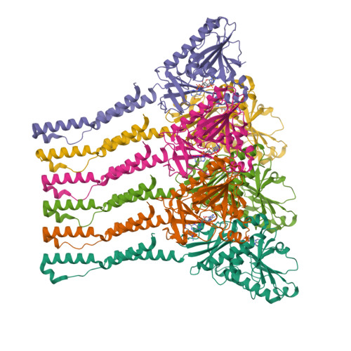 Structure 9WRE