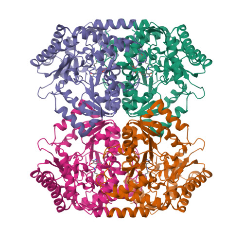 Structure 9WRO