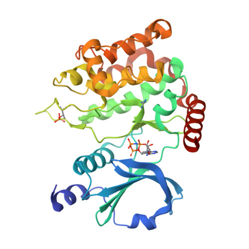 Structure 9WS2