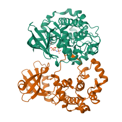 Structure 9WS6