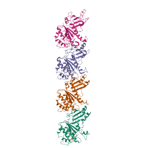 Structure 9WSD
