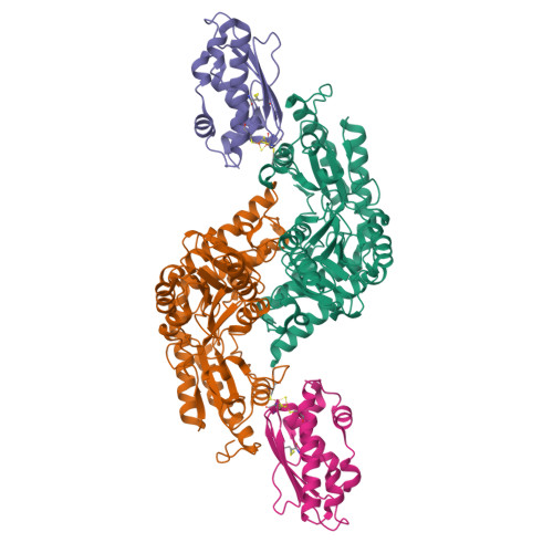 Structure 9WTV
