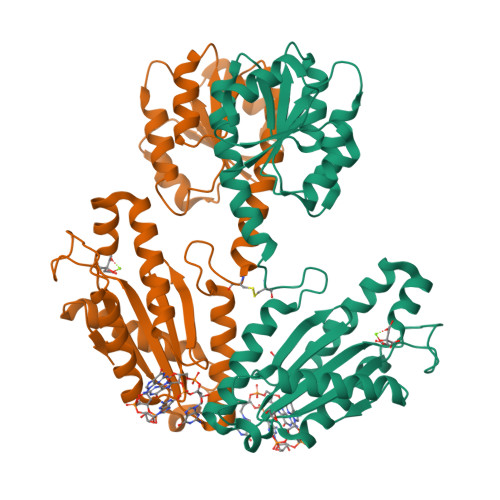 Structure 9WUJ