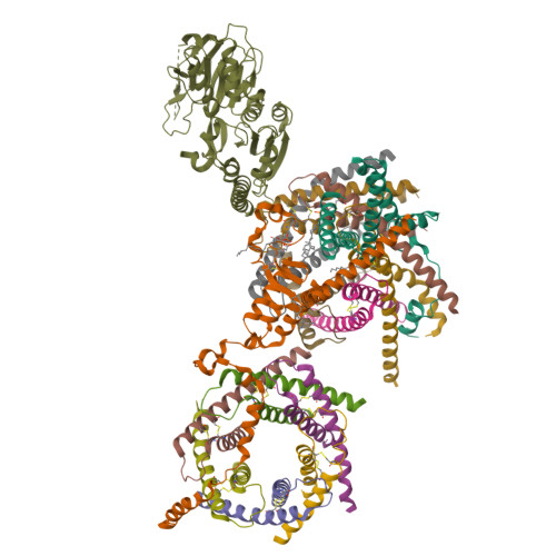 Structure 9WV1
