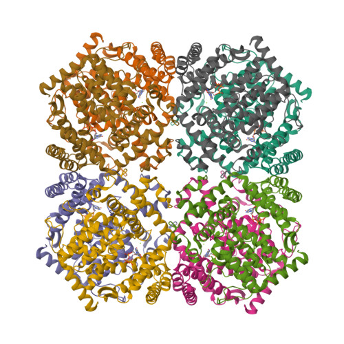Structure 9WV9