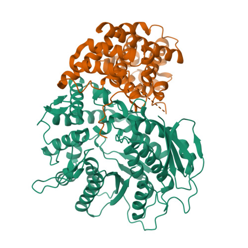 Structure 9WVJ