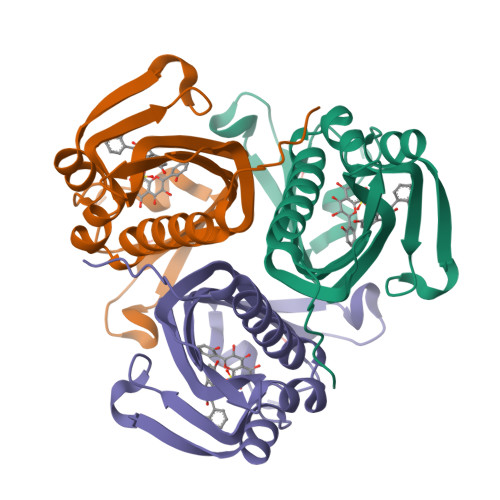 Structure 9WVQ