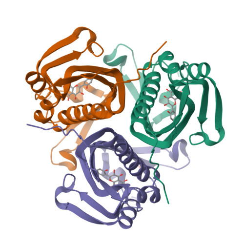 Structure 9WVS
