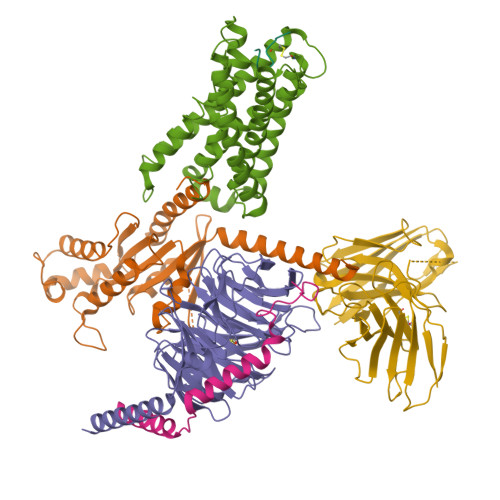 Structure 9WVX