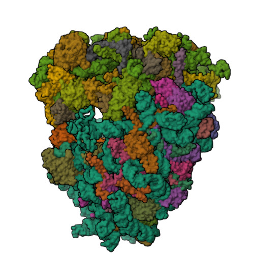 Structure 9WW6