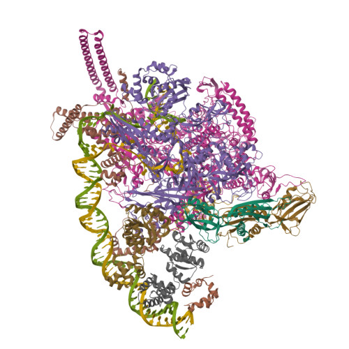 Structure 9WWL