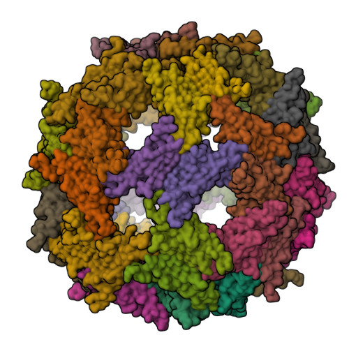 Structure 9WXD