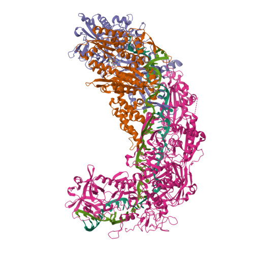RCSB PDB - 9WXH: Cryo-EM structure of the type III-D2 CRISPR-Cas ...