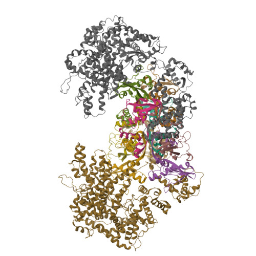 Structure 9WZ2