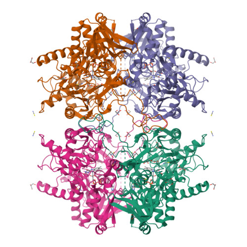 Structure 9X0E