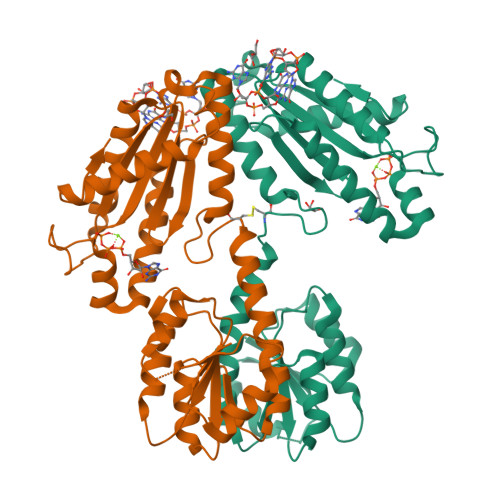 Structure 9X0H