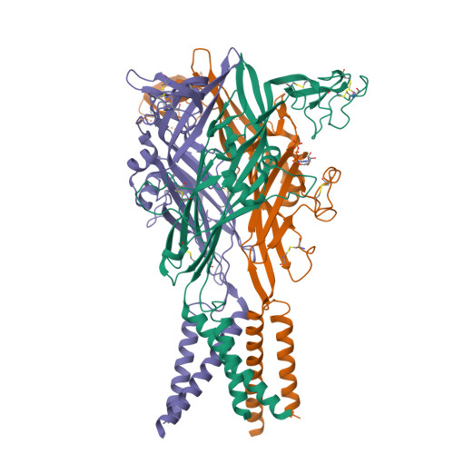 Structure 9X1A