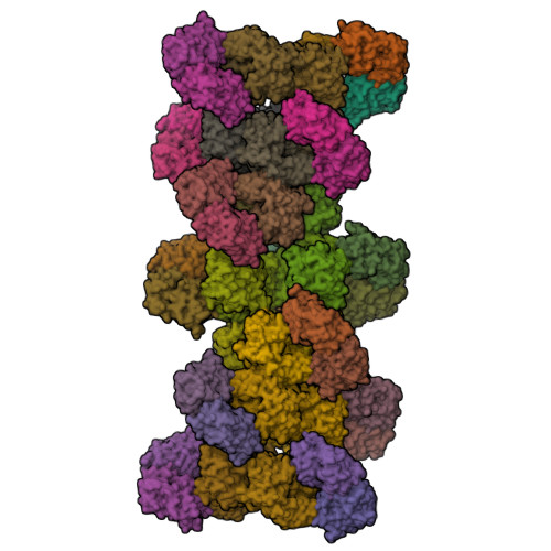 Structure 9X1E