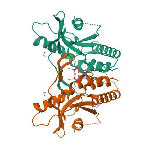 Structure 9X1J
