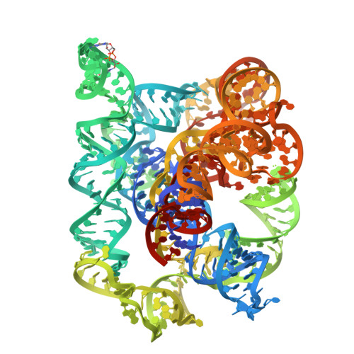 Structure 9X21