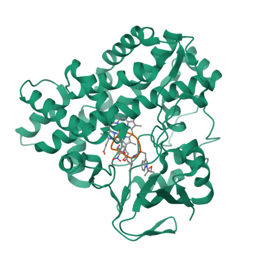 Structure 9X2D
