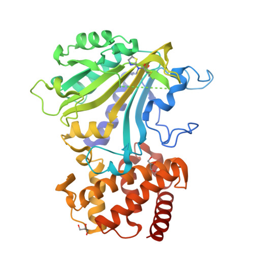 Structure 9X2I