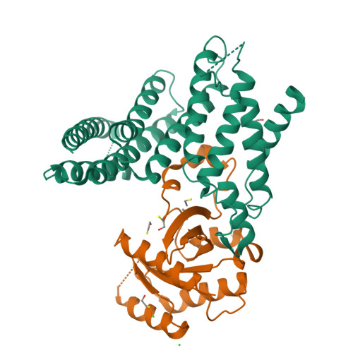Structure 9X2L