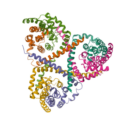 RCSB PDB - 9X2M: Gut transporter with sorbitol