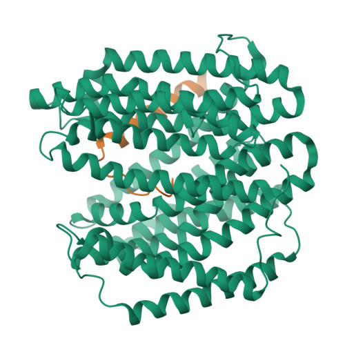 Structure 9X2N