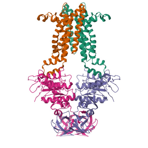 Structure 9X30