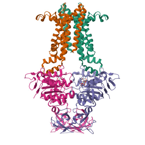Structure 9X31