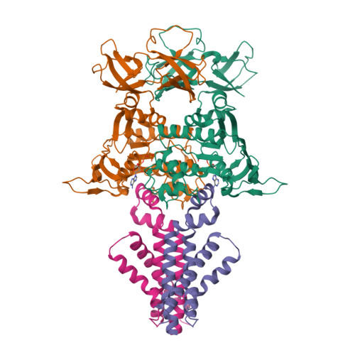 Structure 9X32