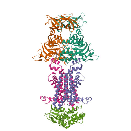 Structure 9X33