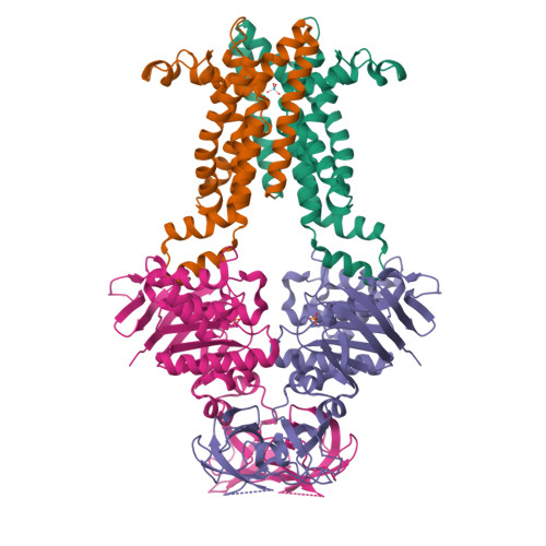 Structure 9X34