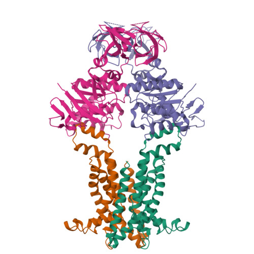Structure 9X36