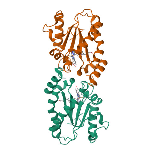 Structure 9X39