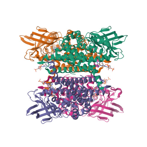 Structure 9X3I