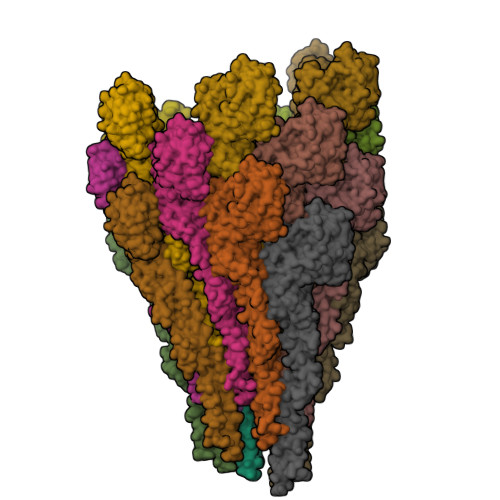 Structure 9X3T