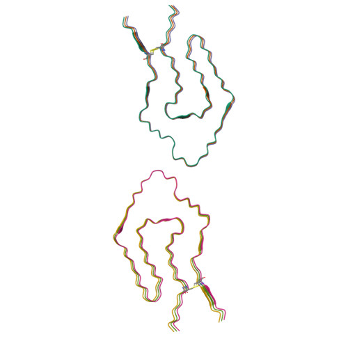 RCSB PDB - 9X45: Cryo-EM structure of renal amyloid fibril from an ...