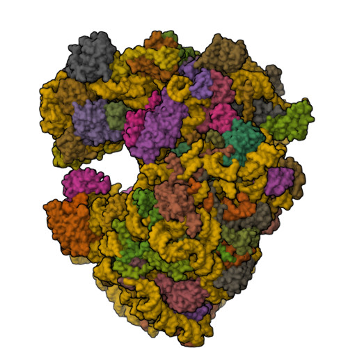 Structure 9X4D