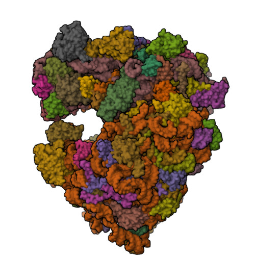 Structure 9X4I