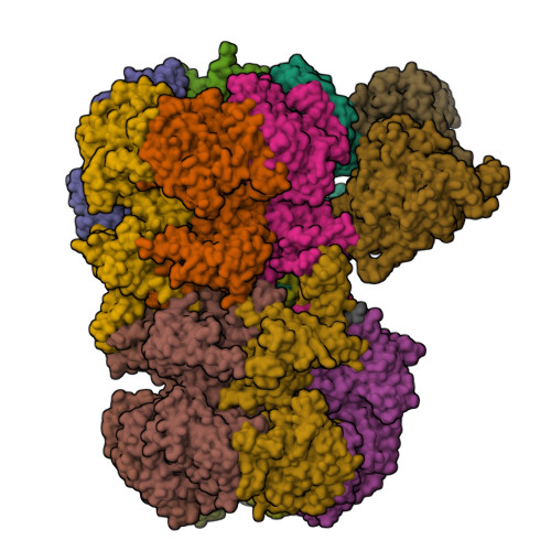 Structure 9X4L