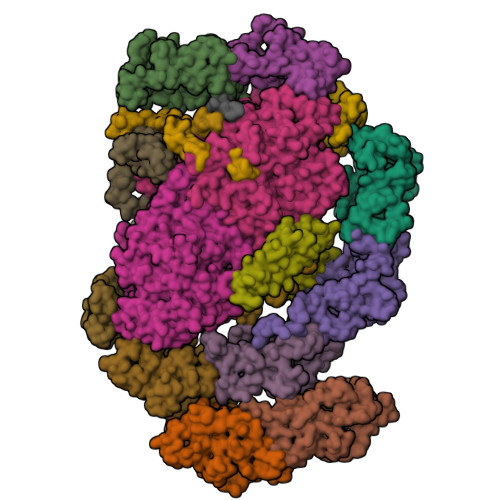 Structure 9X4O