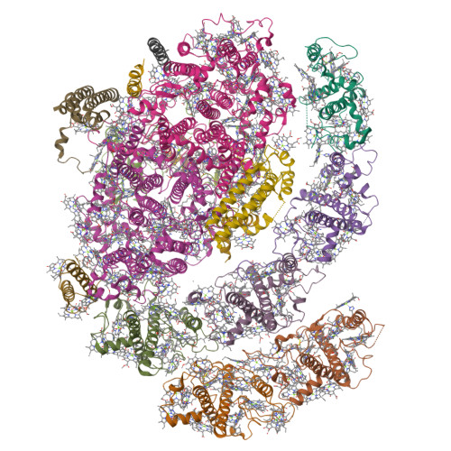 Structure 9X4P