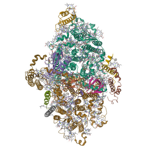 Structure 9X4R