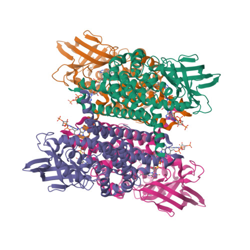Structure 9X4S