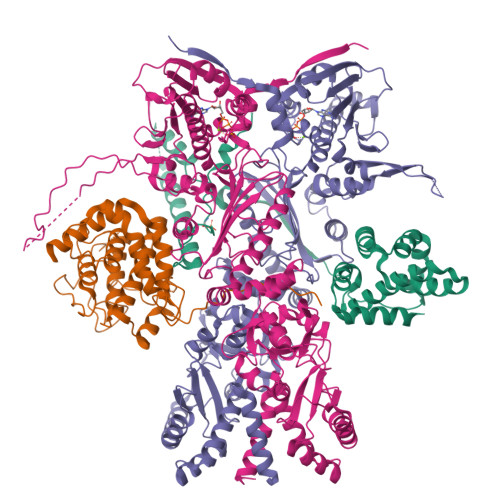 Structure 9X4X