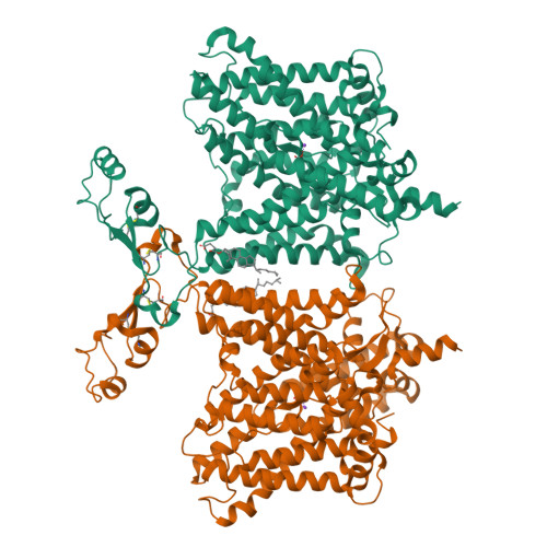 Structure 9X5N