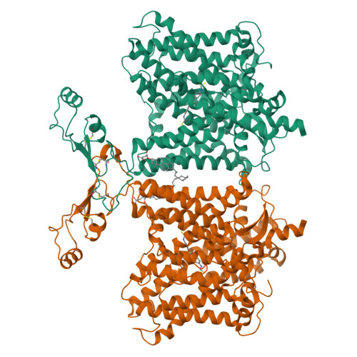 Structure 9X5O