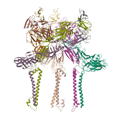 Structure 9X63